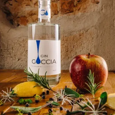 Gin Goccia London Dry - 70cl 41% vol