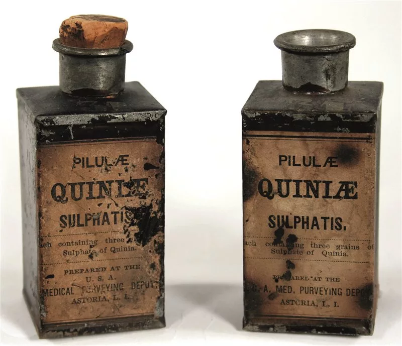 La chinina: l’antidoto che arrivò dall’America