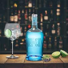 Gin Dry Ponza 70 cl - 42% vol - immagine 3