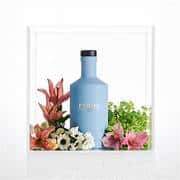 Panda Gin Limited Edition 2023 - immagine 8