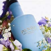 Panda Gin Limited Edition 2023 - immagine 7